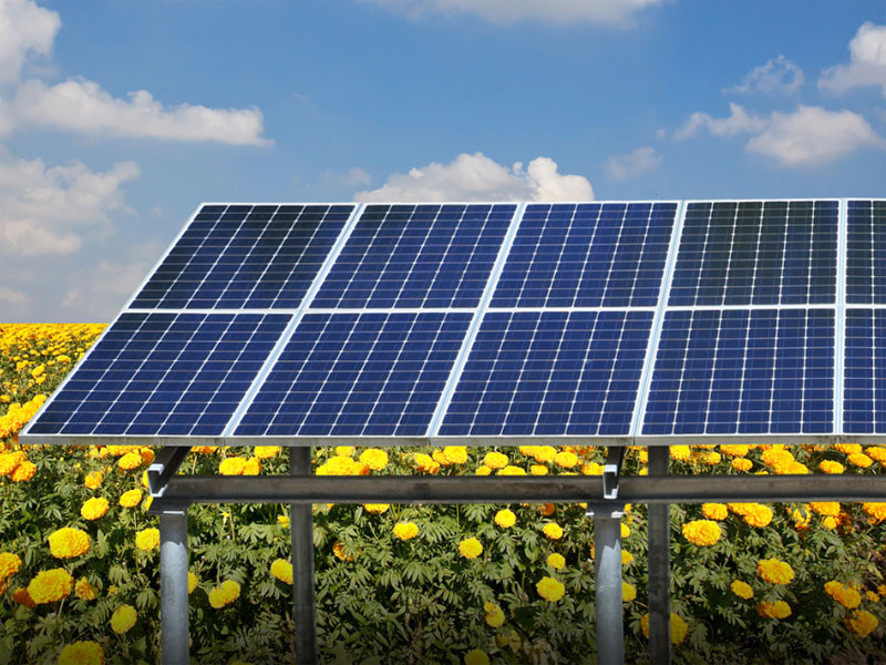 유럽: 태양광 농업은 미래의 주요 발전 추세가 되었습니다