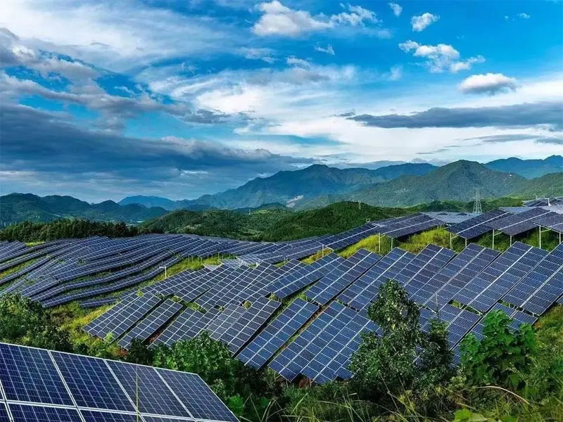 식품 및 음료 브랜드 네슬레, 326MW PV 프로젝트에 투자